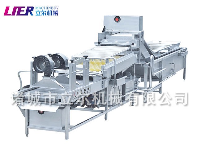 大棗草莓 清洗風(fēng)干流水線(xiàn)